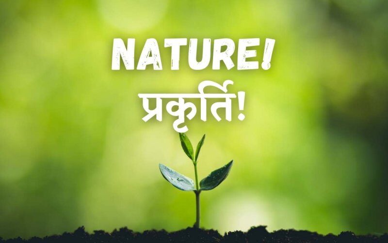 Nature in Hindi