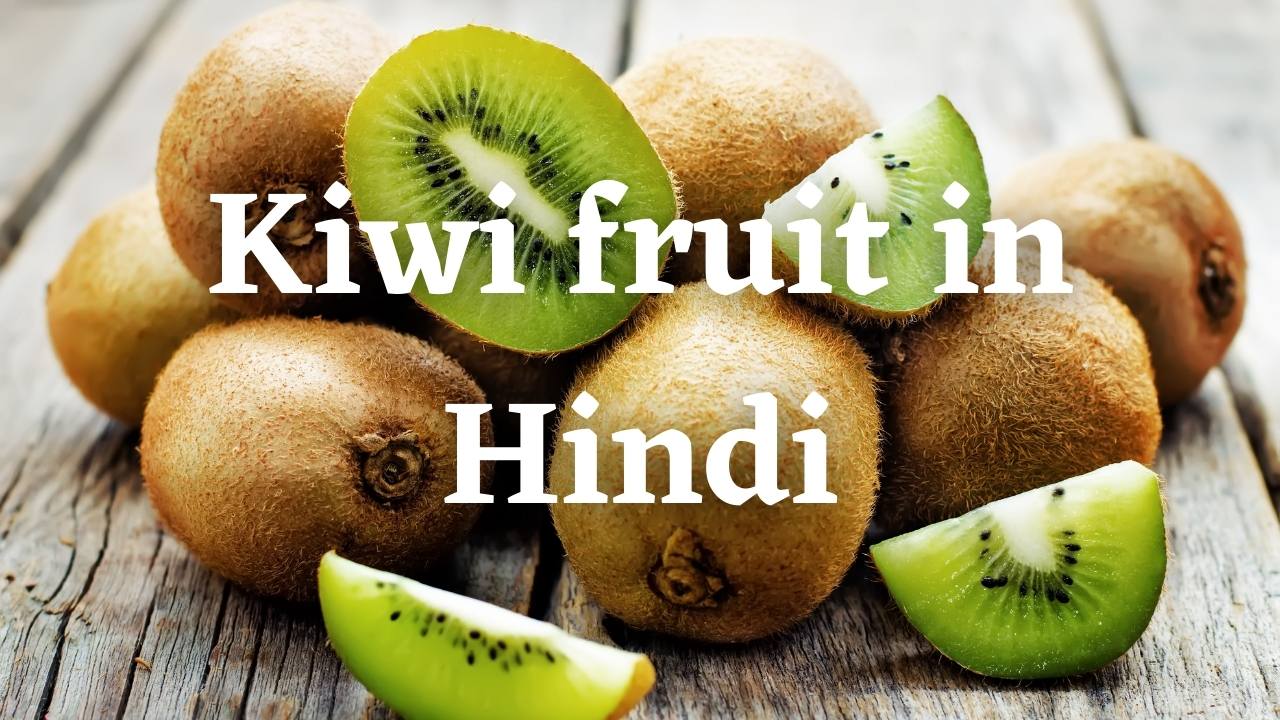 Kiwi fruit in Hindi