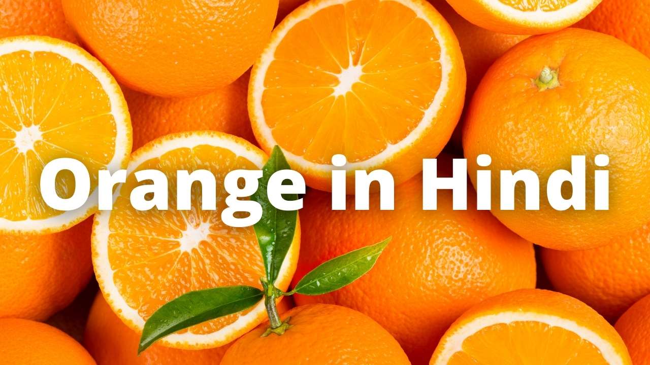 Orange in Hindi
