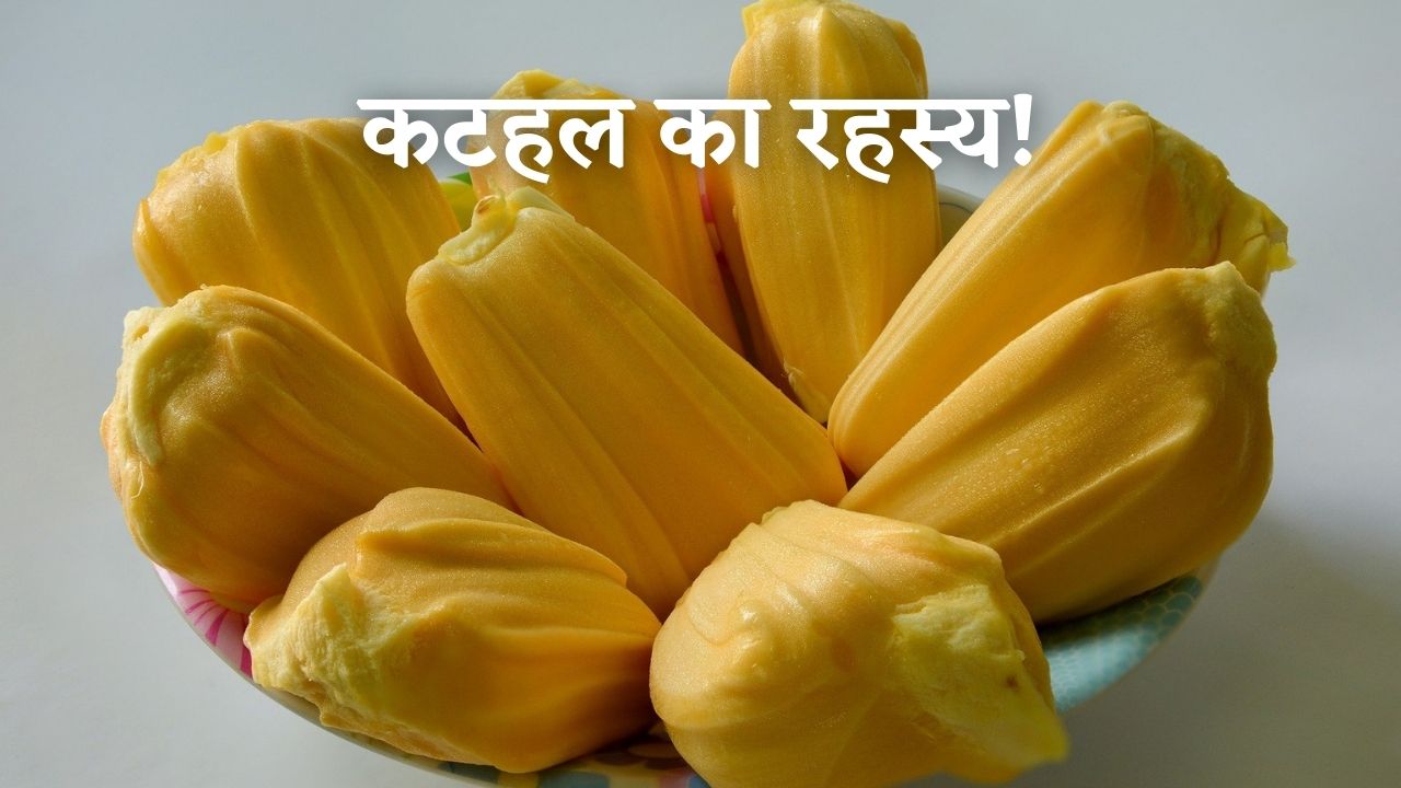 Jackfruit in Hindi