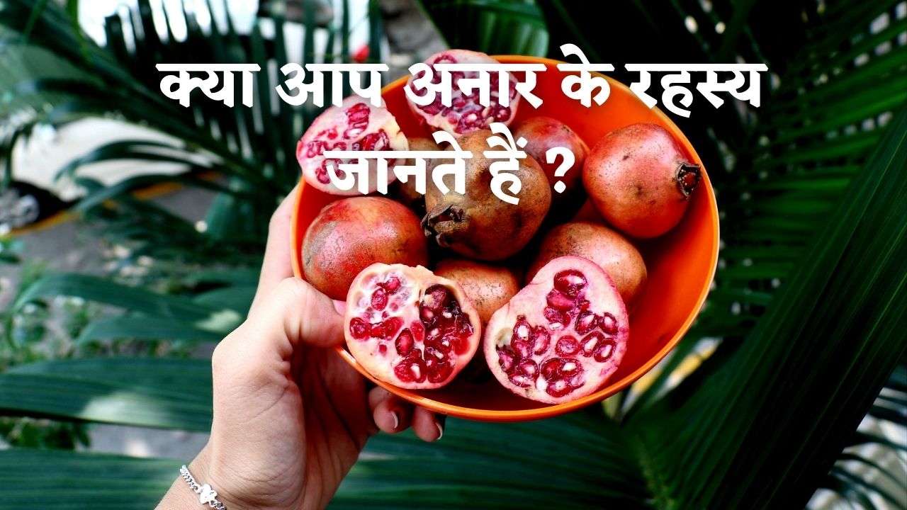 Pomegranate in Hindi