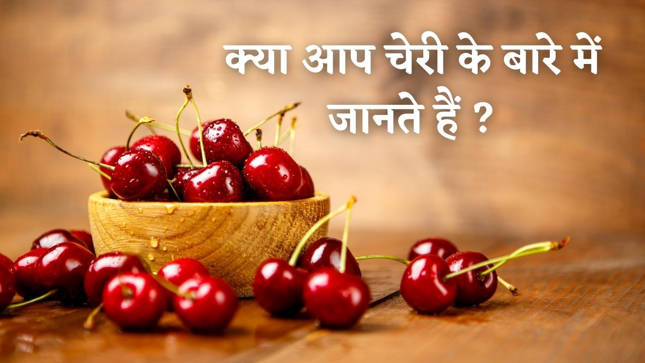 Cherry in Hindi