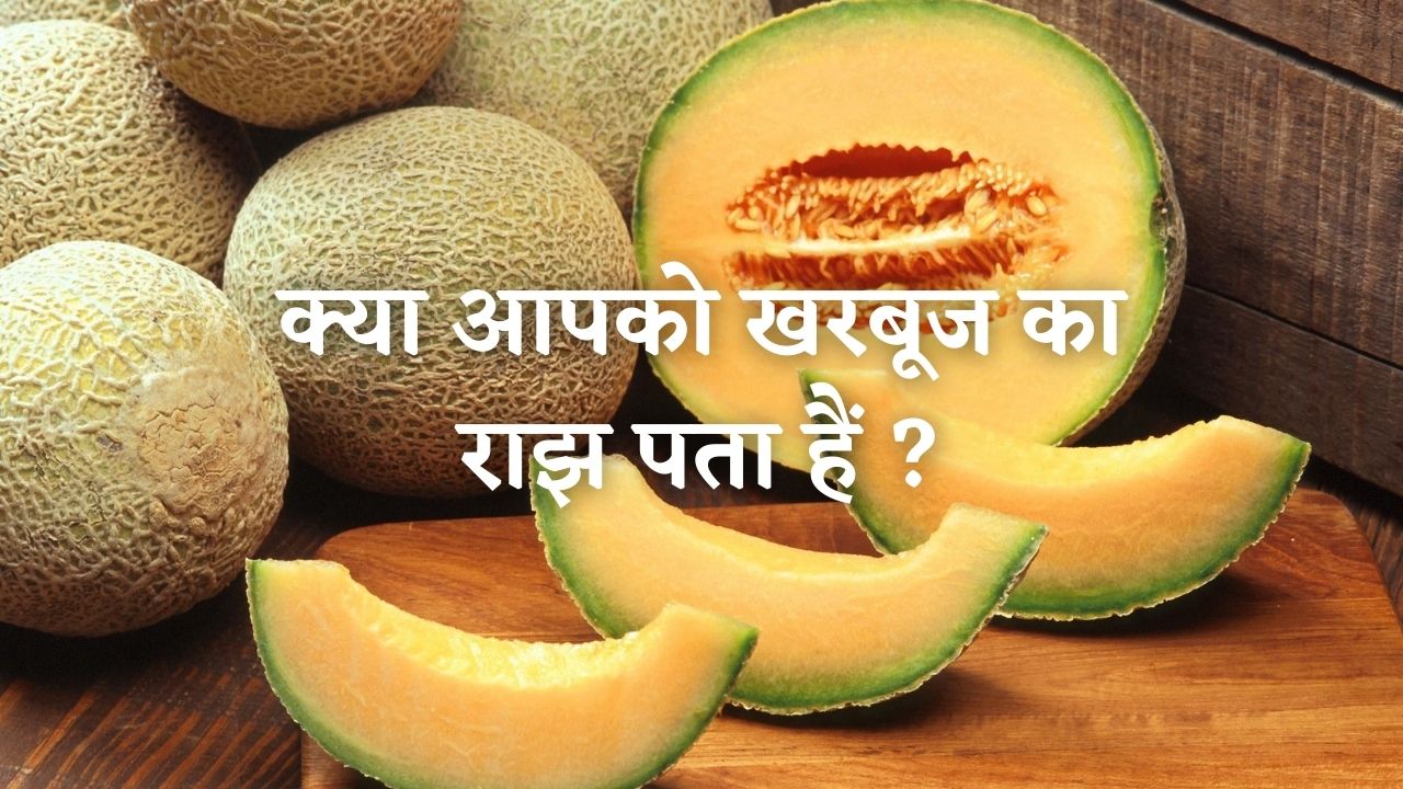 Melon in Hindi