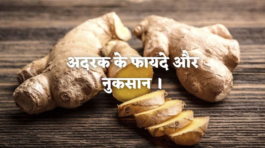 Benefits of Ginger in Hindi