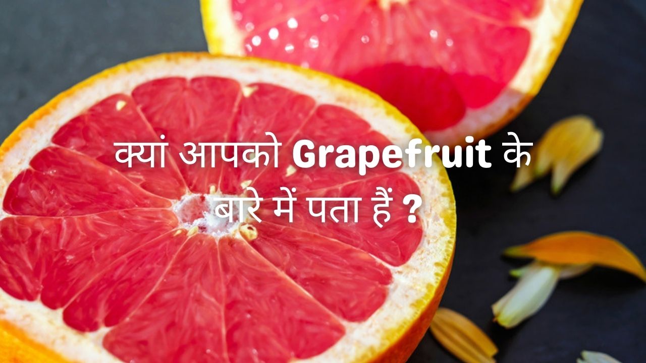 Grapefruit in Hindi