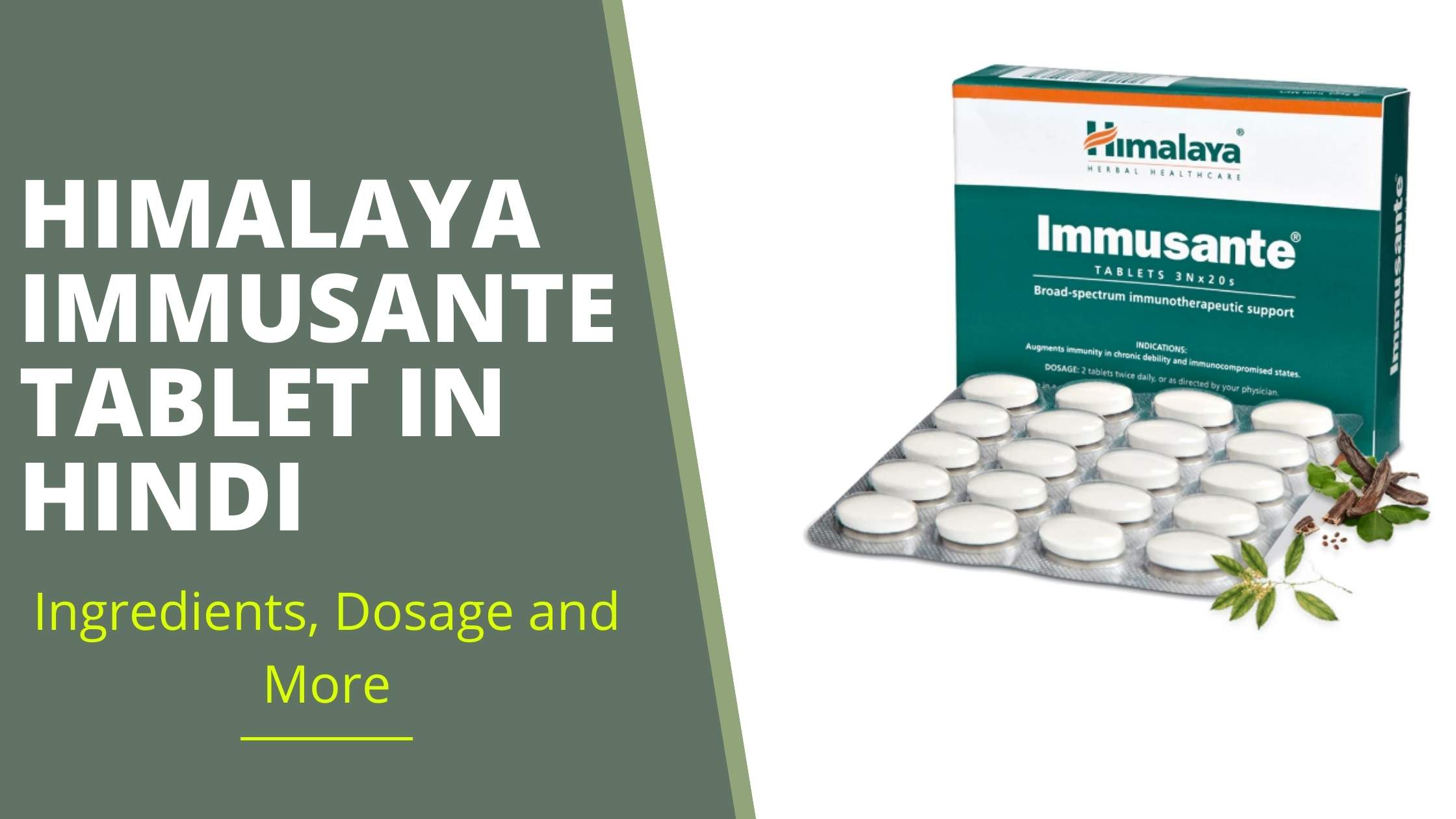 Benefits Of Himalaya Immusante Tablet In Hindi