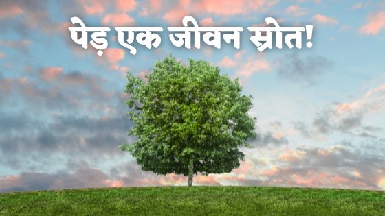 About Tree in Hindi
