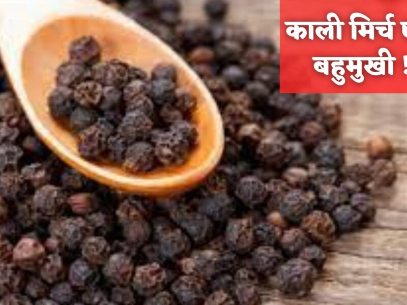 Black pepper powder in Hindi