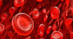 लाल रक्त कोशिकाएं