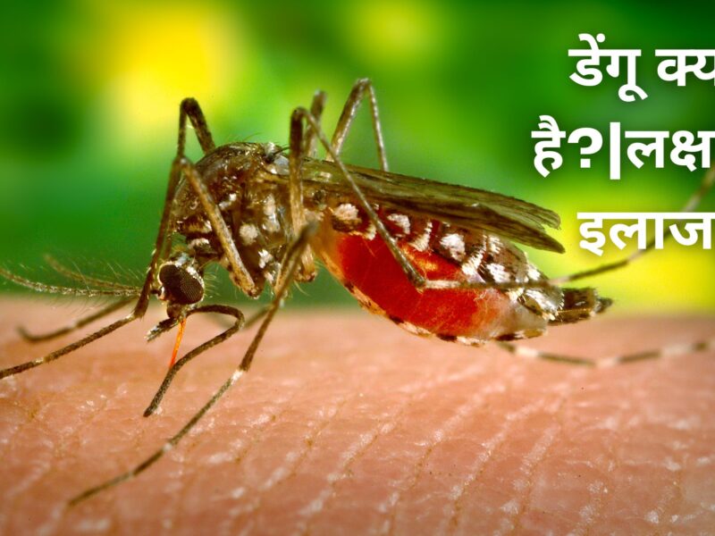 डेंगू मच्छर | डेंगू क्या है| लक्षण | इलाज | आबादी | रोकथाम